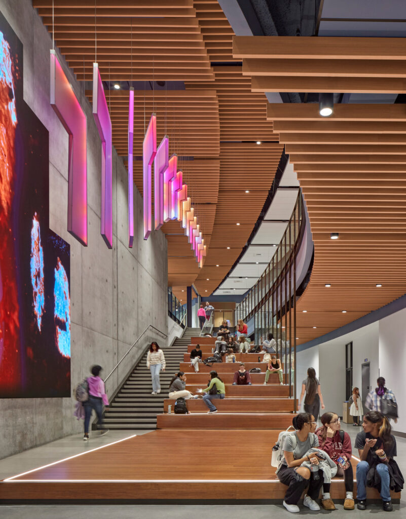 Gallery: Art & Architecture - The Narrative Summer 2023